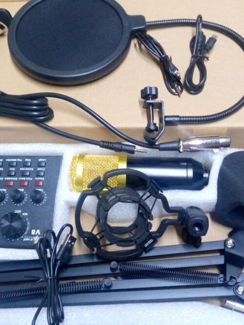 V8 Professional Condenser Microphone